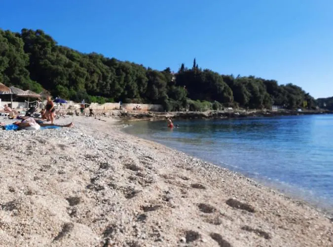 Pjescana Uvala App. Tea 公寓