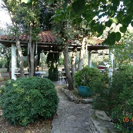 Pjescana Uvala App. Tea *