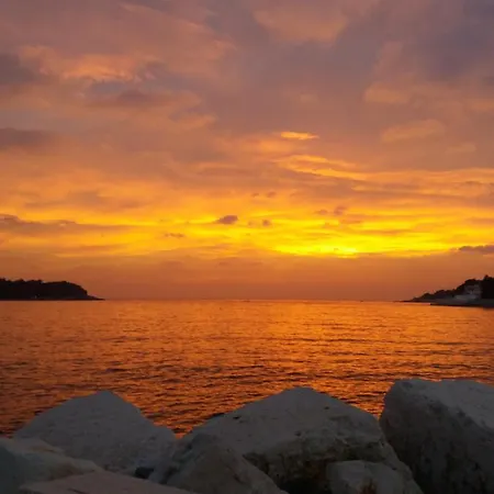 公寓 Pjescana Uvala App. Tea 普拉